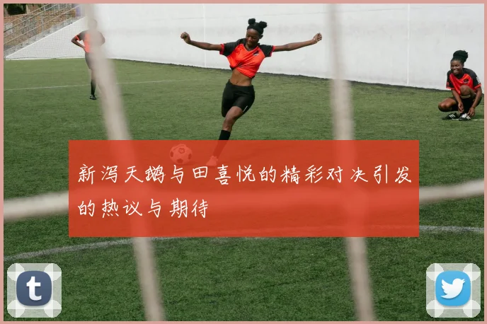新泻天鹅与田喜悦的精彩对决引发的热议与期待
