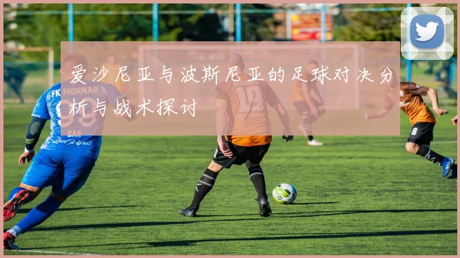爱沙尼亚与波斯尼亚的足球对决分析与战术探讨