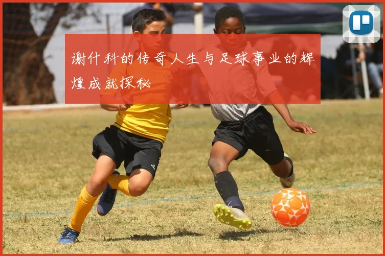 谢什科的传奇人生与足球事业的辉煌成就探秘